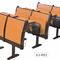 맞물려지는 고전적인 원형 극장 학교 회의실 의자 금속 구조 합판 협력 업체